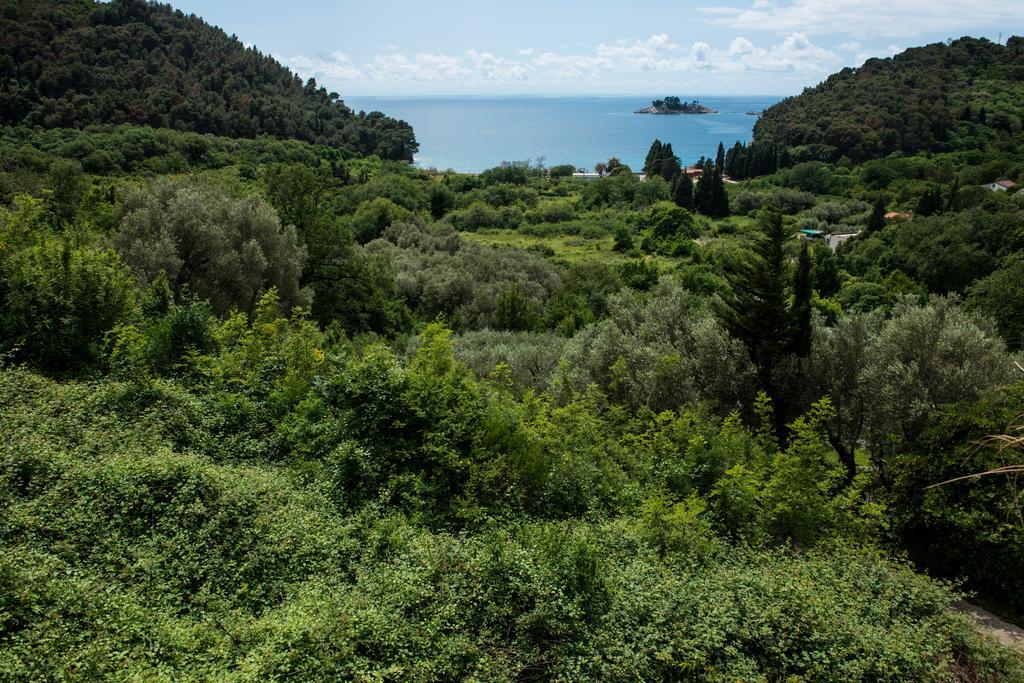 Villa Julia Petrovac na moru Exterior foto