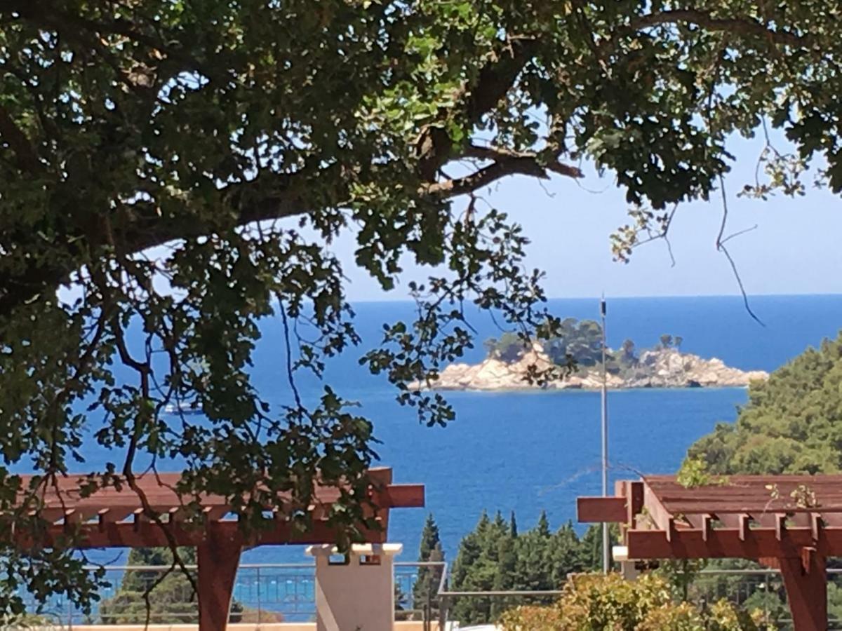 Villa Julia Petrovac na moru Exterior foto